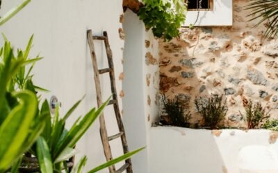 Beyond ROI: Why Investors Rely on Professional Home Management